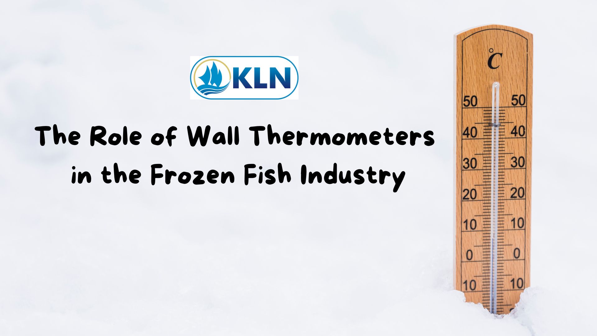 The Role of Wall Thermometers in the Frozen Fish Industry